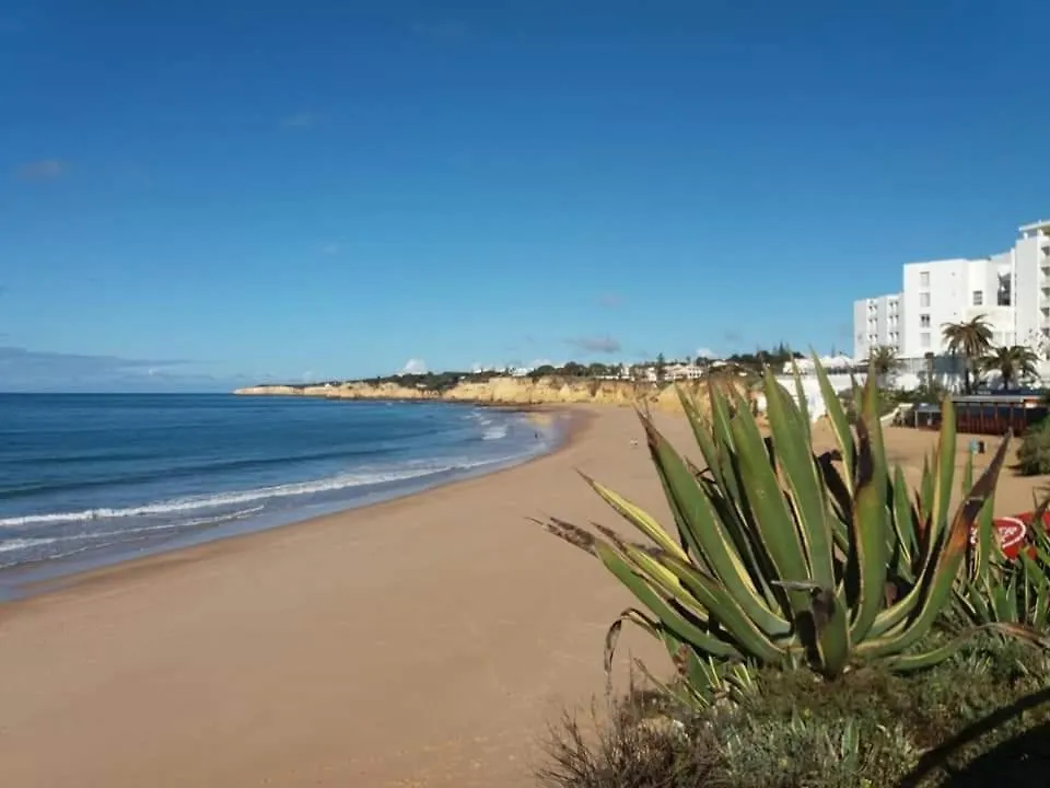 Apartamento Edifelix III Vista Mar - Sardine Holidays Armacao de Pera